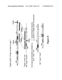 METHOD FOR PERFORMING HOMOLOGOUS RECOMBINATION IN PLANTS diagram and image