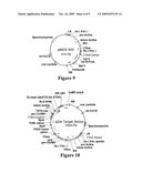 METHOD FOR PERFORMING HOMOLOGOUS RECOMBINATION IN PLANTS diagram and image