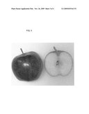 APPLE TREE NAMED  LENTZ JONAGOLD  diagram and image