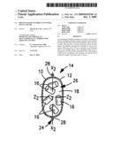 Pre-packaged, flexible container of ice and air diagram and image