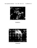 FRACTAL STRUCTURED NANOAGGLOMERATES AS FILTER MEDIA diagram and image