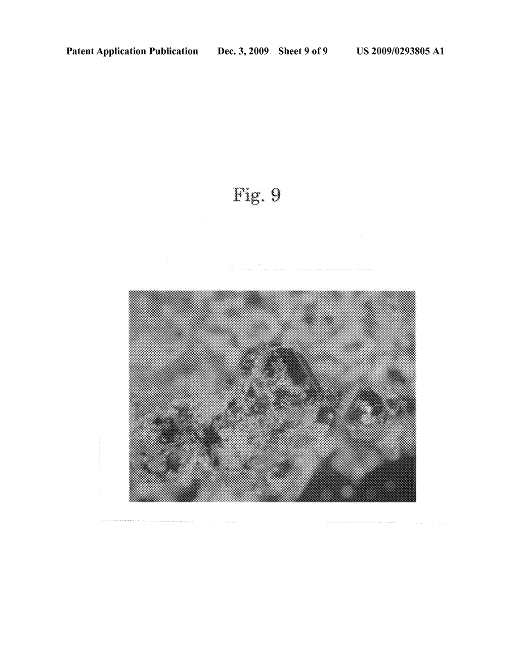 Melt composition for gallium nitride single crystal growth and method for growing gallium nitride single crystal - diagram, schematic, and image 10