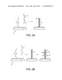 Method for Specifically Detecting Analyte Using Photocurrent, and Electrode, Measuring Cell and Measuring Device for Use Therein diagram and image