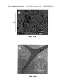 Diluted magnetic semiconductor nanowires exhibiting magnetoresistance diagram and image