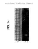 ANTIBODIES TO IL-6 AND USE THEREOF diagram and image