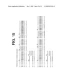 ANTIBODIES TO IL-6 AND USE THEREOF diagram and image