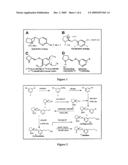 Labeled ALPHA4BETA2 Ligands and Methods Therefor diagram and image