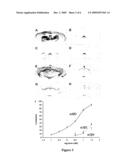 Labeled ALPHA4BETA2 Ligands and Methods Therefor diagram and image