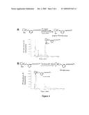 Labeled ALPHA4BETA2 Ligands and Methods Therefor diagram and image