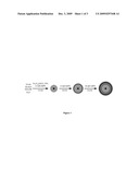 Quantum Dot Barcode Structures and Uses Thereof diagram and image