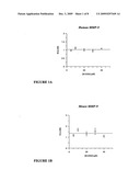 METALLOPROTEINASE 9 AND METALLOPROTEINASE 2 BINDING PROTEINS diagram and image