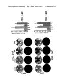 Estriol Therapy for Autoimmune and Neurodegenerative Disease and Disorders diagram and image