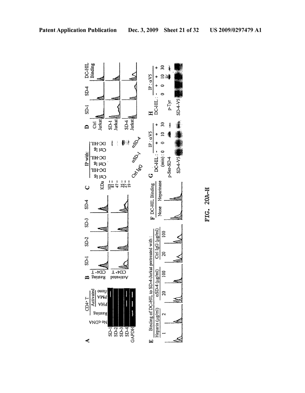 DC-HIL CONJUGATES FOR TREATMENT OF T-CELL DISORDERS - diagram, schematic, and image 22