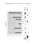 TREATING GLAUCOMA, CARDIOVASCULAR DISEASES, AND RENAL DISEASES diagram and image