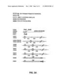 Adenovirus vectors specific for cells expressing androgen receptor and methods of use thereof diagram and image