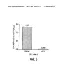 Adenovirus vectors specific for cells expressing androgen receptor and methods of use thereof diagram and image