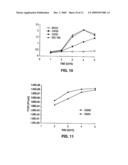 Adenovirus vectors specific for cells expressing androgen receptor and methods of use thereof diagram and image