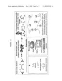 BIOMIMETIC POLYMERS AND USES THEREOF diagram and image