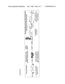 BIOMIMETIC POLYMERS AND USES THEREOF diagram and image