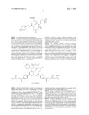 BIOMIMETIC POLYMERS AND USES THEREOF diagram and image