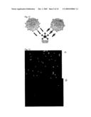 DEVICES AND METHODS FOR DETECTING CELLS AND OTHER ANALYTES diagram and image