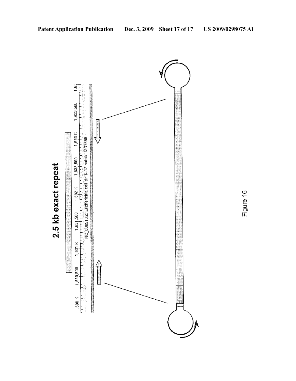 COMPOSITIONS AND METHODS FOR NUCLEIC ACID SEQUENCING - diagram, schematic, and image 18