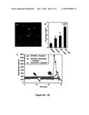 Immortalization of cells including neuronal cells diagram and image