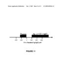 REFERENCE ELECTRODES HAVING AN EXTENDED LIFETIME FOR USE IN LONG TERM AMPEROMETRIC SENSORS diagram and image