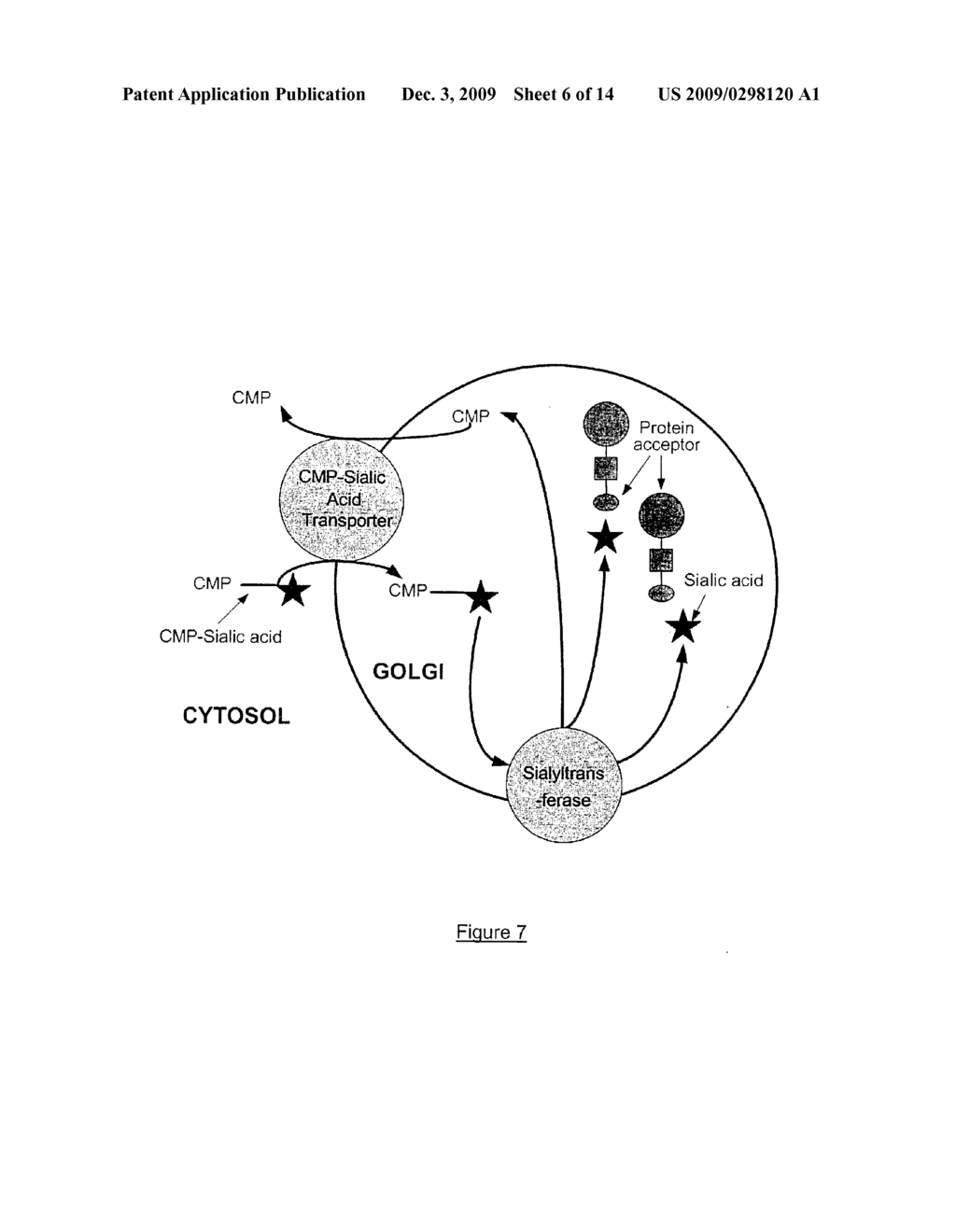 METHOD FOR EXPRESSING SIALYLATED GLYCOPROTEINS IN MAMMALIAN CELLS AND CELLS THEREOF - diagram, schematic, and image 07