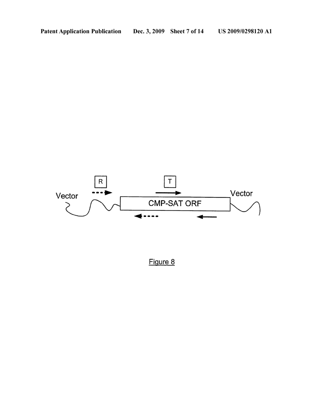 METHOD FOR EXPRESSING SIALYLATED GLYCOPROTEINS IN MAMMALIAN CELLS AND CELLS THEREOF - diagram, schematic, and image 08