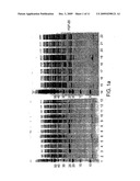 EXPRESSION OF SOLUBLE THERAPEUTIC PROTEINS diagram and image