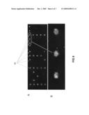 Non-Emulsion Methods And Masked Biomolecules diagram and image