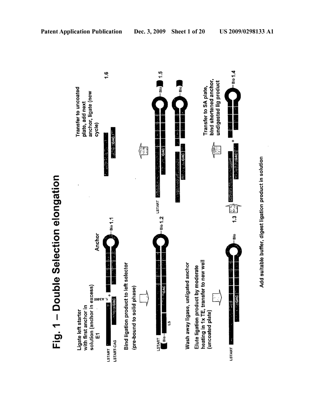 De novo enzymatic production of nucleic acid molecules - diagram, schematic, and image 02