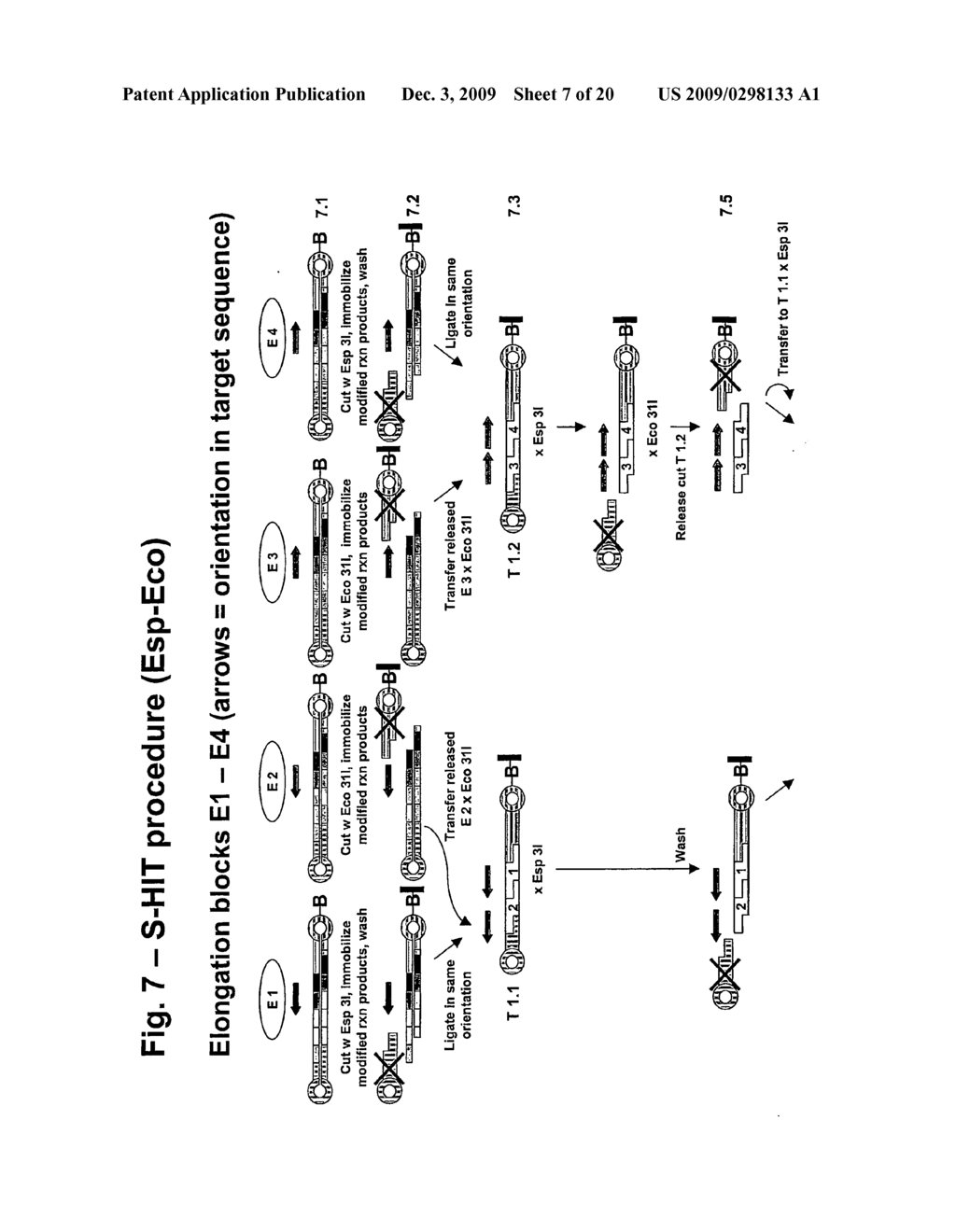 De novo enzymatic production of nucleic acid molecules - diagram, schematic, and image 08