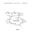 SECRETION OF FATTY ACIDS BY PHOTOSYNTHETIC MICROORGANISMS diagram and image