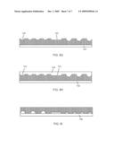 CELL CULTURE APPARATUS HAVING VARIABLE TOPOGRAPHY diagram and image