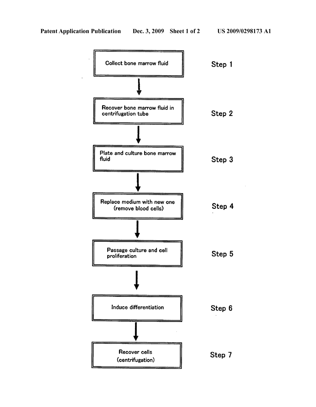 Method of preparing cell for bone tissue formation and application of cell for bone tissue formation - diagram, schematic, and image 02