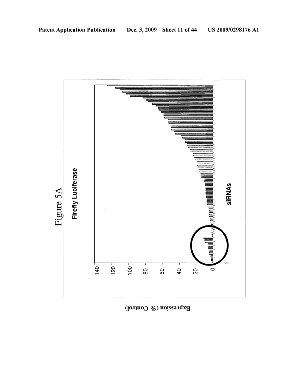 siRNA targeting KRAS - diagram, schematic, and image 12