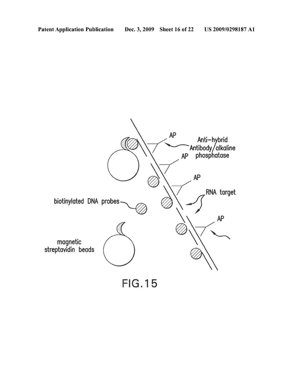 COMPOSITIONS, METHODS, AND KITS USING SYNTHETIC PROBES FOR DETERMINING THE PRESENCE OF A TARGET NUCLEIC ACID - diagram, schematic, and image 17