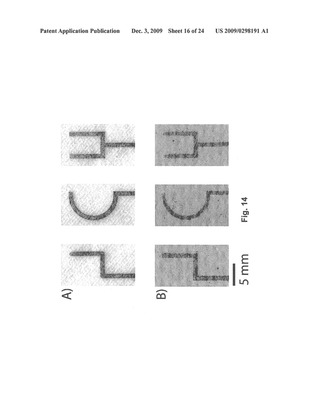 Lateral Flow and Flow-through Bioassay Devices Based On Patterned Porous Media, Methods of Making Same, and Methods of Using Same - diagram, schematic, and image 17