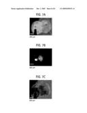 ATOMIC EMISSION SPECTROSCOPY ON A CHIP diagram and image