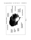 Method for Automated Tissue Analysis diagram and image