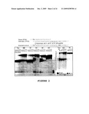 2 -DEOXY-2 -FLUORO-BETA-D-ARABINONUCLEOSIDE 5 -TRIPHOSPHATES AND THEIR USE IN ENZYMATIC NUCLEIC ACID SYNTHESIS diagram and image