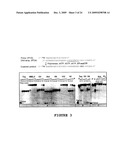 2 -DEOXY-2 -FLUORO-BETA-D-ARABINONUCLEOSIDE 5 -TRIPHOSPHATES AND THEIR USE IN ENZYMATIC NUCLEIC ACID SYNTHESIS diagram and image