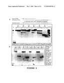 2 -DEOXY-2 -FLUORO-BETA-D-ARABINONUCLEOSIDE 5 -TRIPHOSPHATES AND THEIR USE IN ENZYMATIC NUCLEIC ACID SYNTHESIS diagram and image