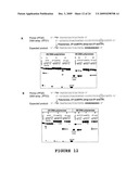 2 -DEOXY-2 -FLUORO-BETA-D-ARABINONUCLEOSIDE 5 -TRIPHOSPHATES AND THEIR USE IN ENZYMATIC NUCLEIC ACID SYNTHESIS diagram and image