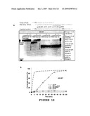 2 -DEOXY-2 -FLUORO-BETA-D-ARABINONUCLEOSIDE 5 -TRIPHOSPHATES AND THEIR USE IN ENZYMATIC NUCLEIC ACID SYNTHESIS diagram and image