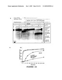 2 -DEOXY-2 -FLUORO-BETA-D-ARABINONUCLEOSIDE 5 -TRIPHOSPHATES AND THEIR USE IN ENZYMATIC NUCLEIC ACID SYNTHESIS diagram and image