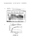 2 -DEOXY-2 -FLUORO-BETA-D-ARABINONUCLEOSIDE 5 -TRIPHOSPHATES AND THEIR USE IN ENZYMATIC NUCLEIC ACID SYNTHESIS diagram and image