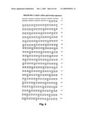 Methods of treating cartilage defects using a soluble morphogenic protein complex diagram and image